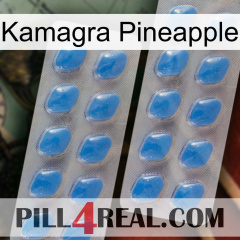 Kamagra Pineapple 23